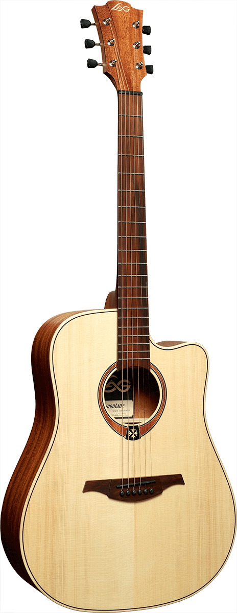Lâg Dreadnought cutaway