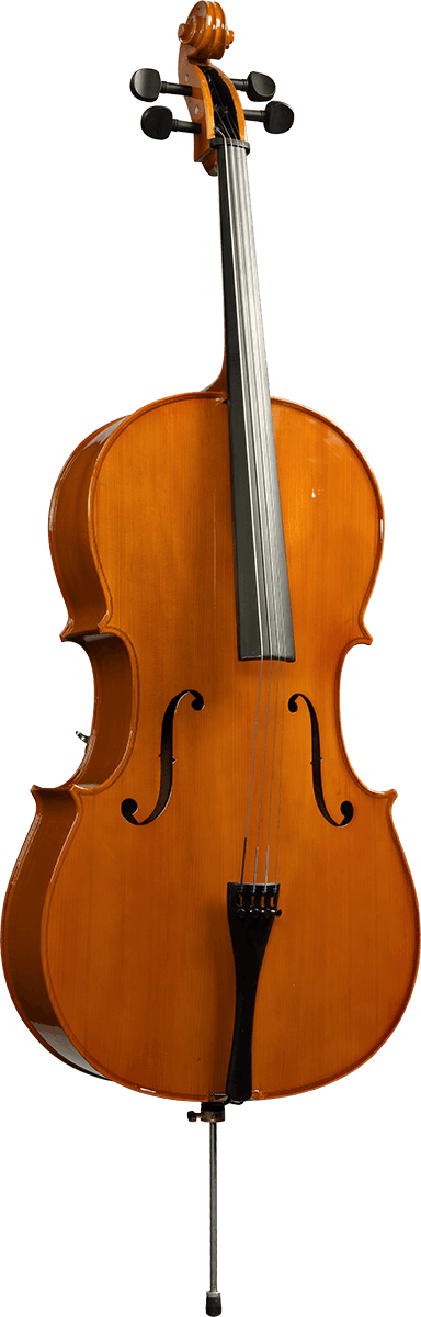 Herald Violoncelle massif