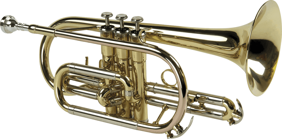 SML Paris Cornet débutant Sib verni CO50