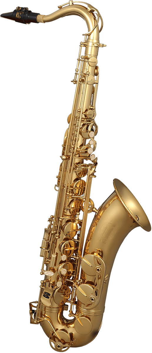 SML Paris Saxophone ténor débutant verni T420-II